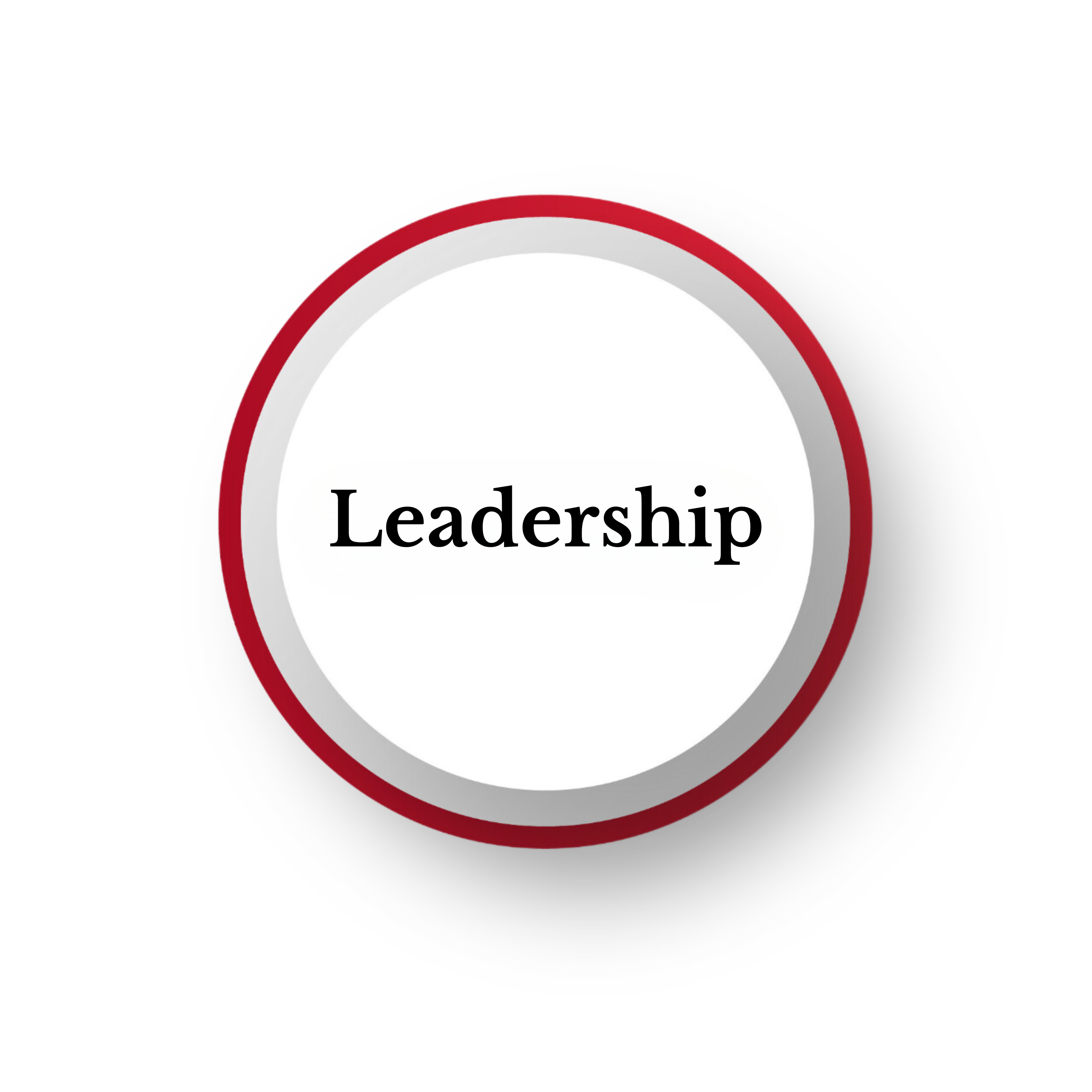 Leadership pillar